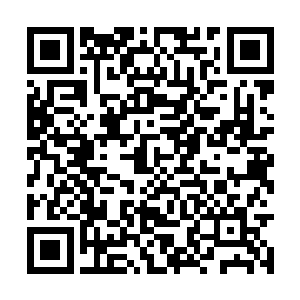 他是咋想象不到龙傲天到底是怎么获得如此机缘的二维码生成