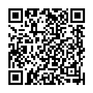 他是在场四人中唯一不明白这一连串算是个什么状况的人二维码生成