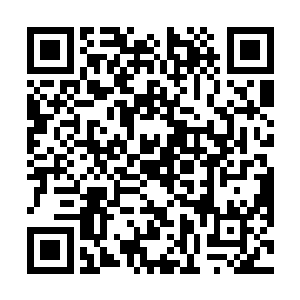 他是并不打算在没有搞清楚九幽玄鸟的虚实之前动手的二维码生成