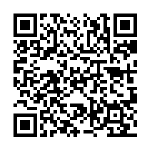 他是怎么从混沌石刻中明悟这么多火系法则的道理二维码生成