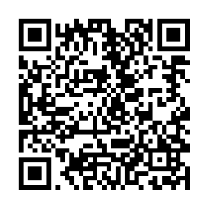 他是怎样一个人在这个星球恶劣的环境里生存下来的二维码生成