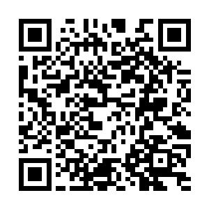 他是怎样在她撕心裂肺的求饶和哭喊声中将她撕碎二维码生成