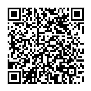 他是无论如何都不可能赶在楚旬之前接触到那悬浮于半空中的血晶心脏了二维码生成