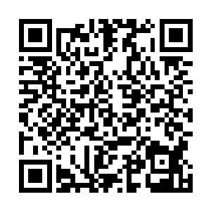 他是看着荣光怎么从一个菜鸟变成可以接受逼迫式训练的二维码生成