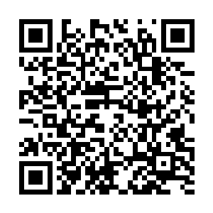 他是真不知道莫小七为什么忽然这么嚎啕大哭起来二维码生成