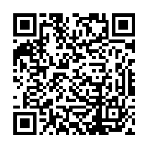 他是第一次在秦洛的身上体会到温暖和尊严这种东西二维码生成