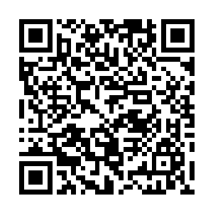 他是绝不会因为天灵殿展露出那友好的态度就网开一面的二维码生成