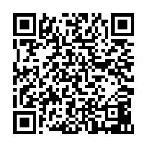 他是要掀起我们三大门派年轻弟子之间的战争么二维码生成