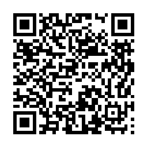 他是越来越看不懂台前那个意气风发的白衣书生了二维码生成