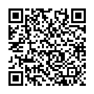 他是那么的相信那个人……怎么可以他最信任的人二维码生成