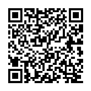 他显然是被龙王复归引起的化形雷劫引起了兴趣二维码生成