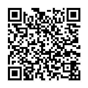他显然没有想到陈诚居然会知道对面蓝buff的刷新时间二维码生成