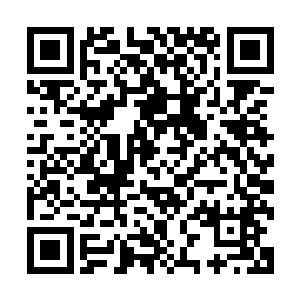 他更忘不了的就是眼前这个和自己一起从孽土逃出来的小妹妹二维码生成