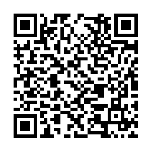 他更恨沙漠岩陵城的那些将他的同胞做成傀儡的人二维码生成