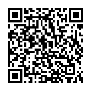 他更愿意相信自己眼睛看到的和脑子分析出来的二维码生成