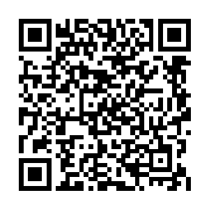 他更是借助自身龙珠给杨开演绎时间之道的玄奥二维码生成