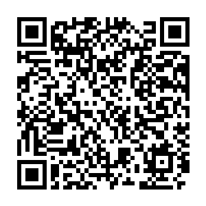他曾在天秦城见过皇帝秦飞鸿与白冰儿手下妖魔王袁恒的一场剧斗二维码生成