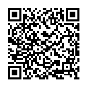 他曾经可是精通精神之道和灵魂法则的顶级强者二维码生成