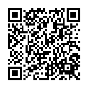 他曾经在星域宗召开的九宗大典上见到过许紫烟二维码生成