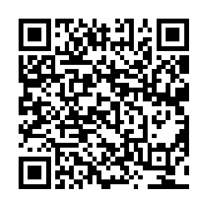 他曾经就是因为那一张兽皮之助才成功突破至圣王境界二维码生成