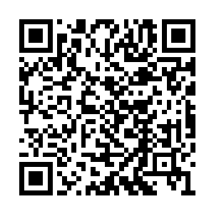 他曾经答应过秦逸天一定要好好的照顾他们姐妹二维码生成