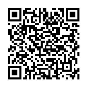 他曾说过他跟宗主钟万奎都是巴不得对方早点死二维码生成