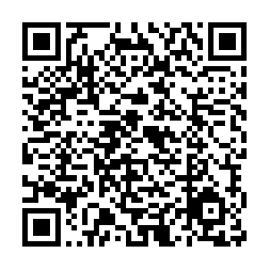 他最为担心的还是自己所建立的绯红之虎海盗团势力会遭到重大的打击二维码生成