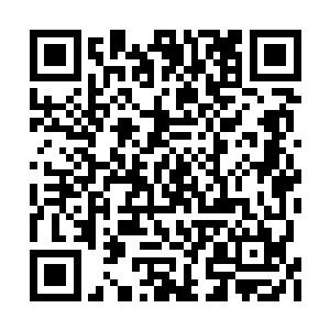 他最后竟是眼睁睁的看着极星塔主死在他的面前二维码生成