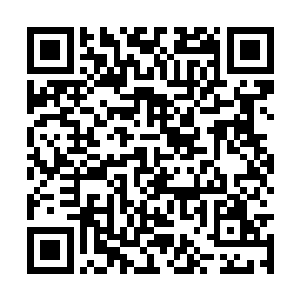 他最喜欢的就是用自己手中的锤把对方的脑袋敲碎二维码生成