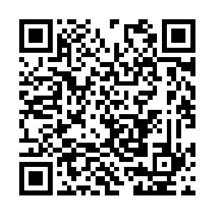 他最引以为傲的那些资本仿佛全都被夏天所掩盖了二维码生成