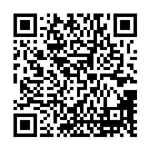他最明智的选择也就是让自己的本体躲进那北狱鬼王殿之中二维码生成
