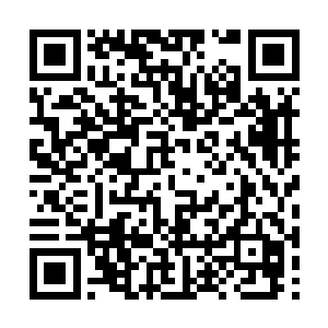 他最看不得别人和他一起抢被昆仑派淘汰来的修者二维码生成