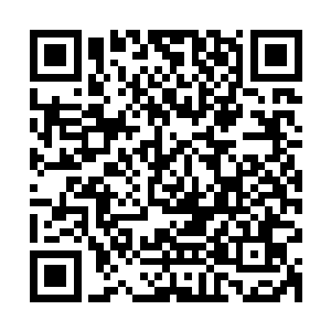 他最终只得潜了吞噬了东方伏和前军的最大一片社稷图能量云中二维码生成