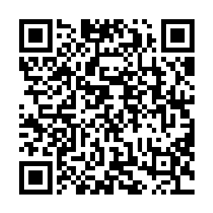 他有心想要以自己化身为天道而掌握的玄妙之术洞悉天机二维码生成