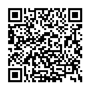 他期望能看到导弹直接将目标炸上天的宏伟景象二维码生成