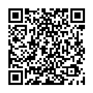 他本以为像面前这个又有本领又拥有如此多猛将的朝廷统将二维码生成