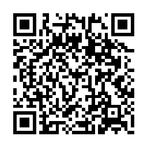 他本以为自己随着叛臣势力一起打下了昊天域界二维码生成