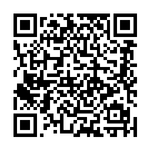 他本就做好了和我一起与左司一干拼个你死我活的打算二维码生成