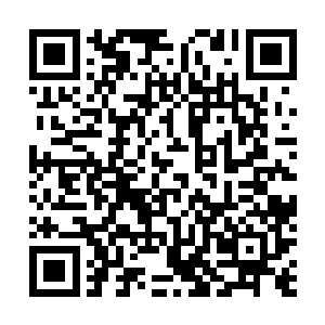 他本就对除了沈婉瑜和比较亲近的一些人外都不怎么关注二维码生成