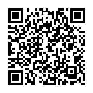 他本想来这里看看内门弟子平时都是怎么练功的二维码生成