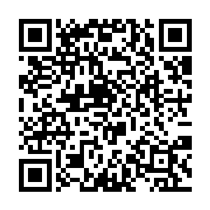 他本来以为罗伊八世会因为魔鬼训练营的的势力过大二维码生成