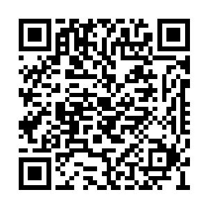 他本来以为这两人见面的话肯定会打个你死我活二维码生成