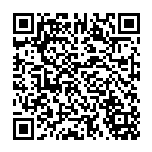 他本来和白丁商议好的计谋被黑火真人随意的一句话就给堵了回去二维码生成