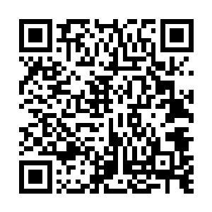 他本来在童玲动手的瞬间就准备跟陈月求情让童玲住手二维码生成