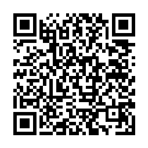 他本来就是看在自己侄女的面子上才说出这些事情的二维码生成