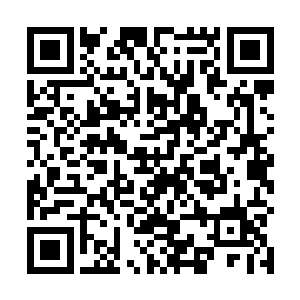 他本来打算趁这个冬天把炼骨术一到三级好好巩固一下二维码生成