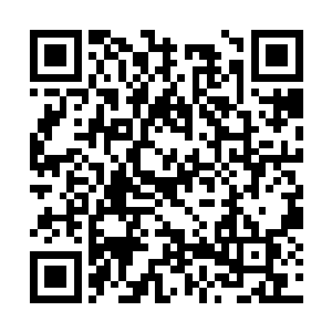 他本来真的以为是苏凡带着两女去下面看鲨鱼去了二维码生成