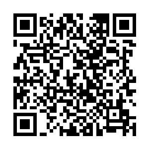 他本来还想着他们能够勇敢的有骨气的继续反抗一下的二维码生成