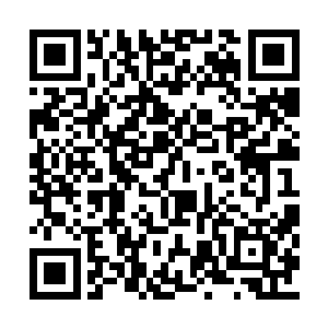 他本还以为夏二公子是想来讨回今天早上的场子二维码生成