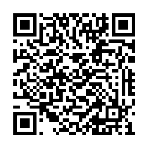他来了以后见炎黄部落需要帮忙也没多想就帮了二维码生成